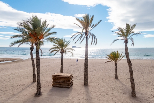 Benidorm Beach Paradise