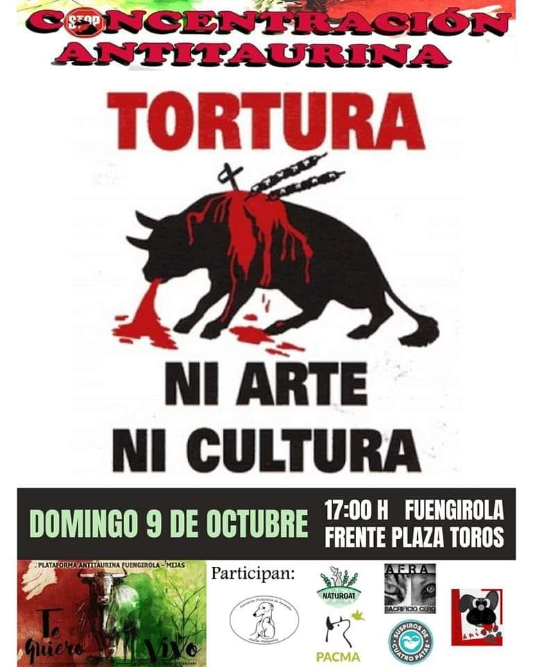 Bullfights Spain